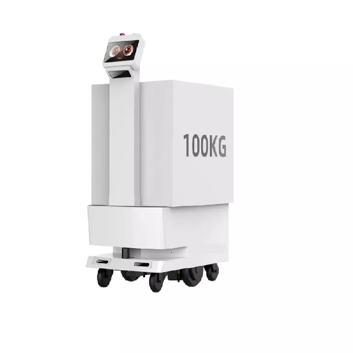 Robot de livraison