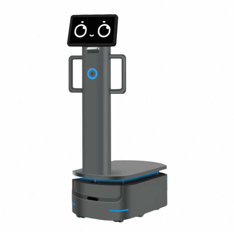 Robot à charge utile lourde pour la livraison industrielle